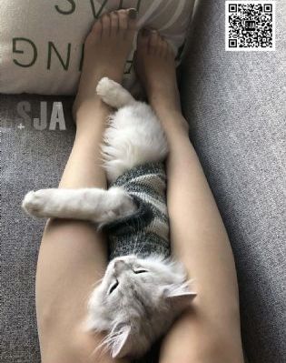 手机在线午夜极品福利_高清在线观看完整版