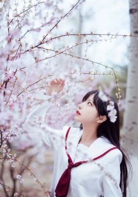 看黄色视频卡频_超清全集免费播放